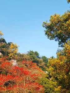 Sky jeju island blue