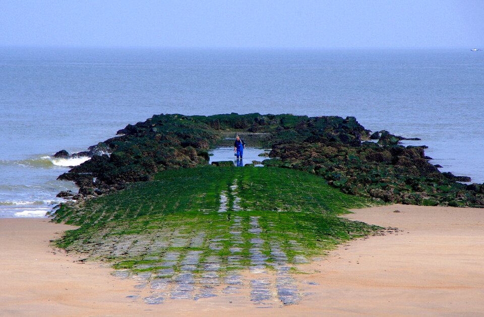 Coast fisherman fish