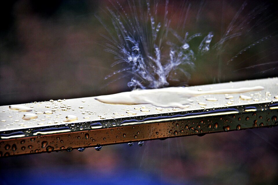 Drop of water drop of rain raining