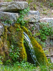 Waterjet water moss