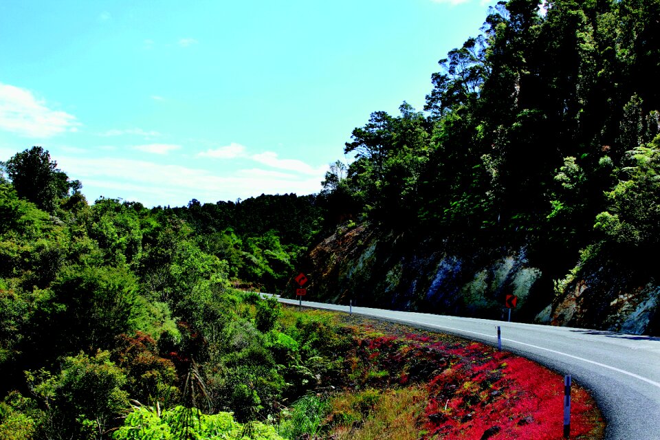 Landscape colors winding roads
