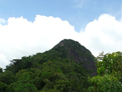 Mountain rio de janeiro tijuca forest