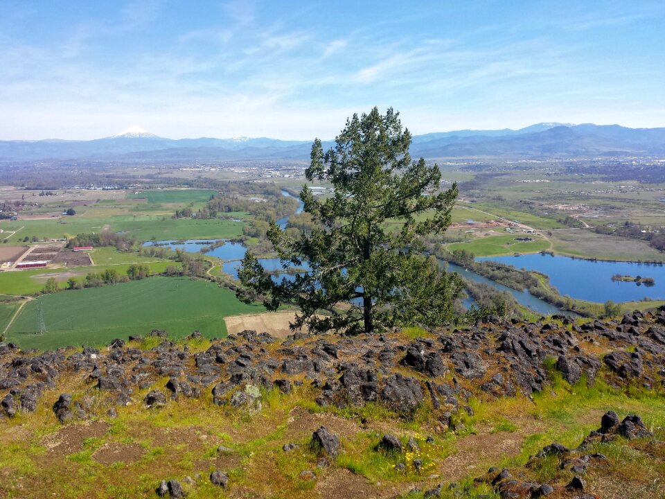 Landscape nature scene