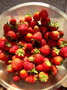 Summer berry garden strawberry