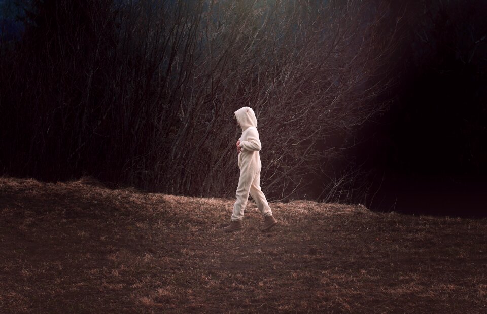 Bear suit nature out