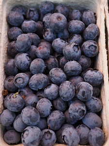 Blue vitamins prunus spinosa