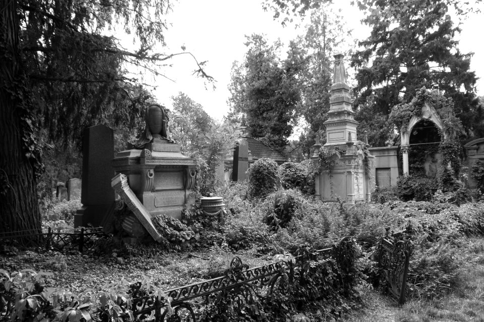 Vienna broken tombs black and white image