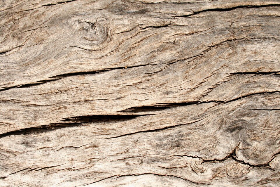 Panel timber background