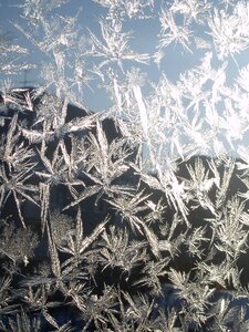 December nature frost