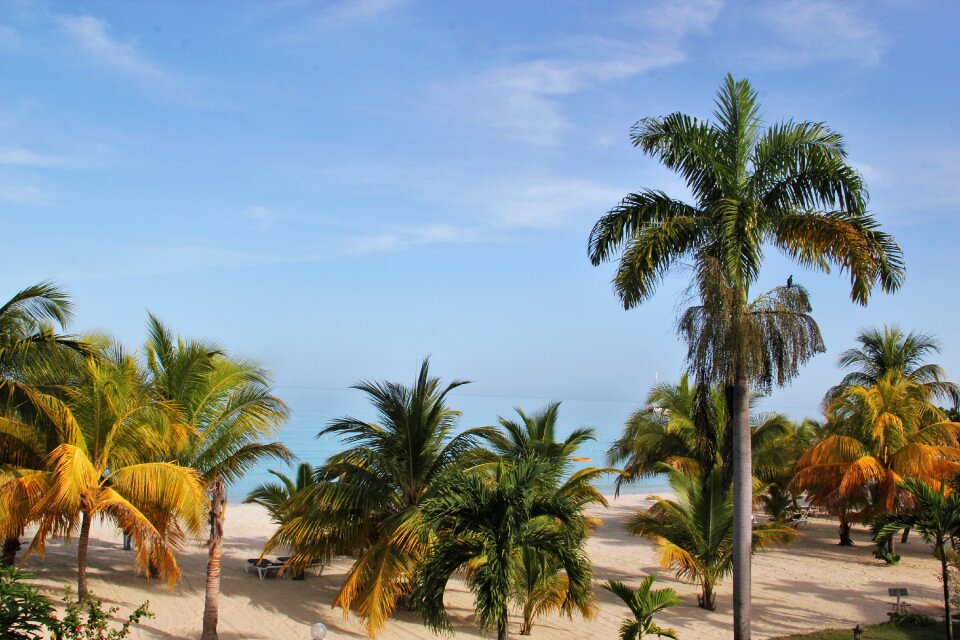 Typical jamaican paradise exotic