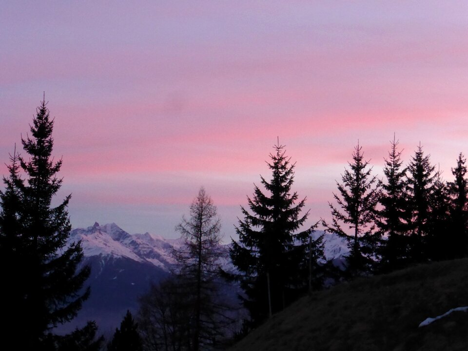 Nature sky evening photo