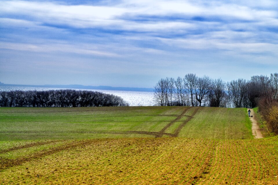Field baltic sea clouds