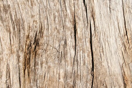 Panel timber background