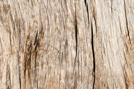 Panel timber background photo