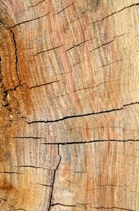 Panel timber background