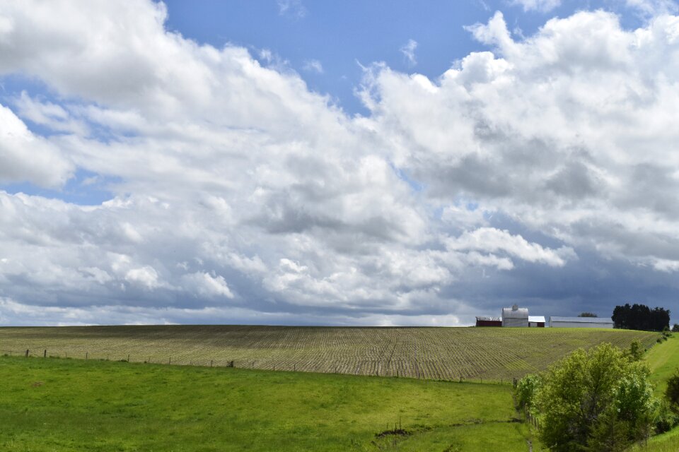 Farm farmer farming