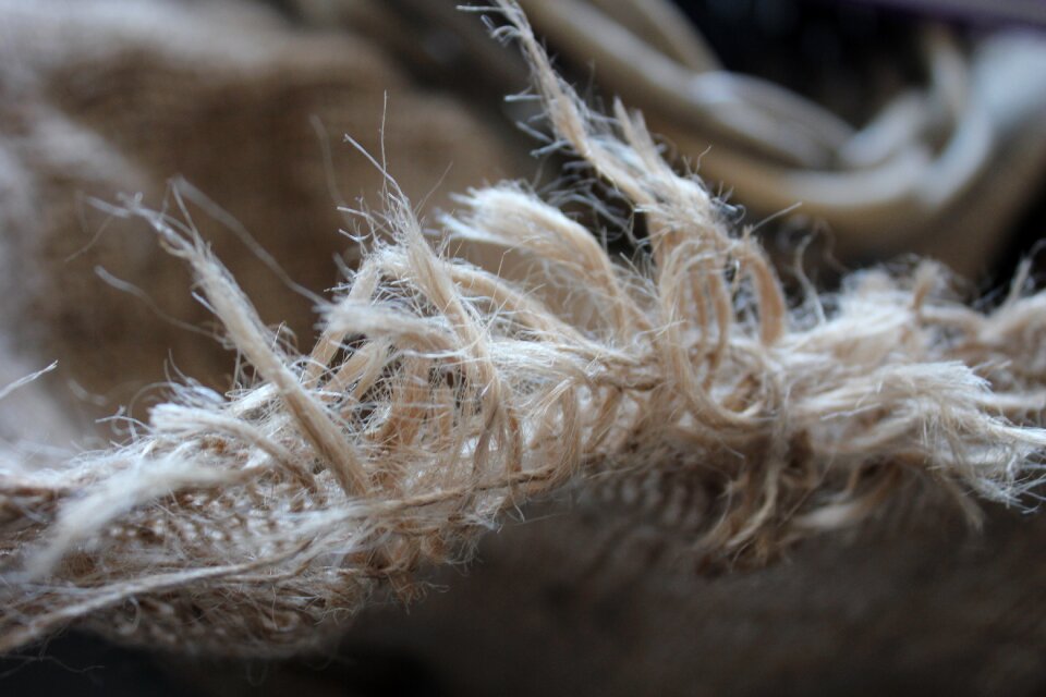 Fabric texture nature