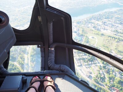 Flight within view