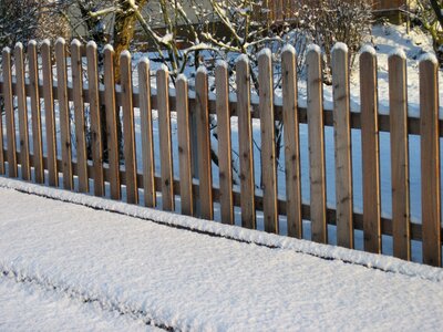Cold wood snowy