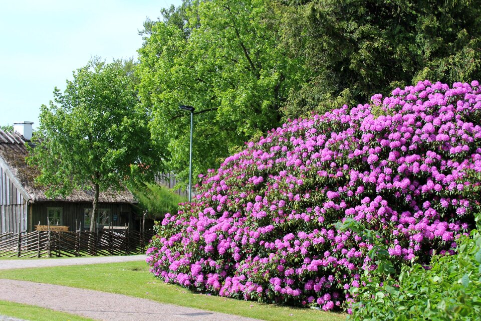 Sweden city park park