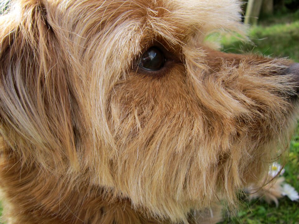 Eye mirroring close up