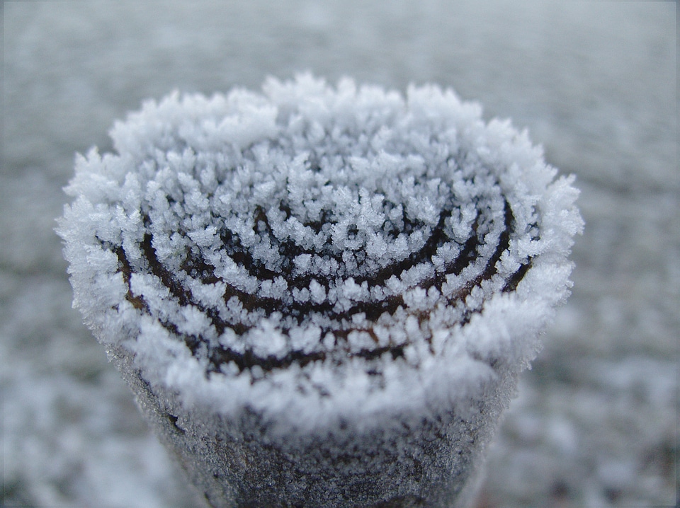 Snow wintry snow magic