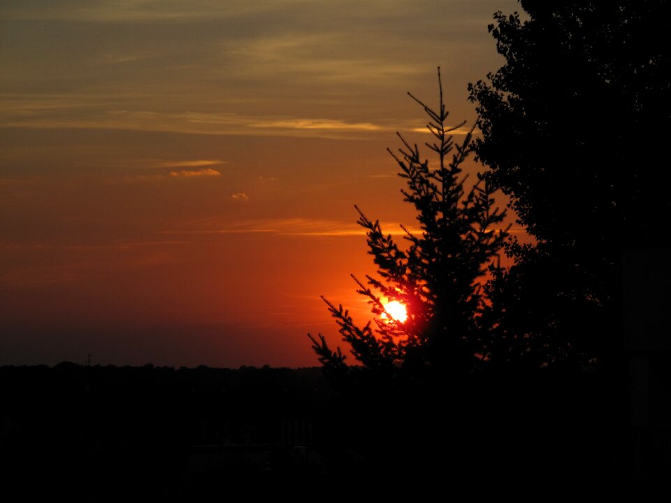 Sunlight nature