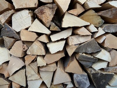 Growing stock log sawed off