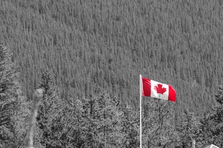 Canada canadian flag national park photo
