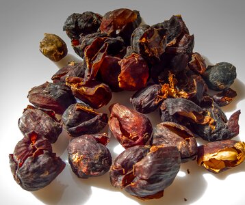 Skins coffee plant