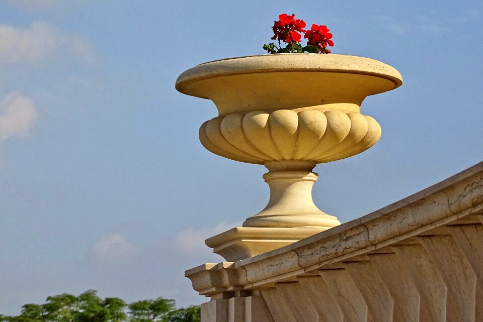 Flower blue sky decorative