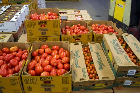 Vegetable red tomato photo