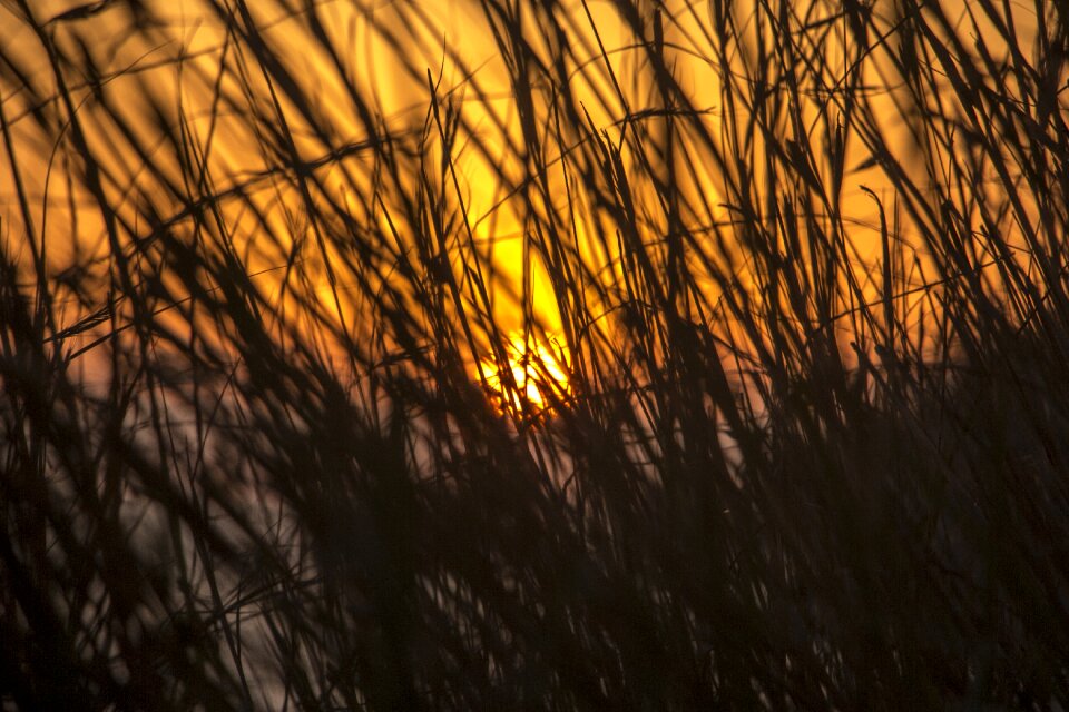 Sunlight sunny sky photo