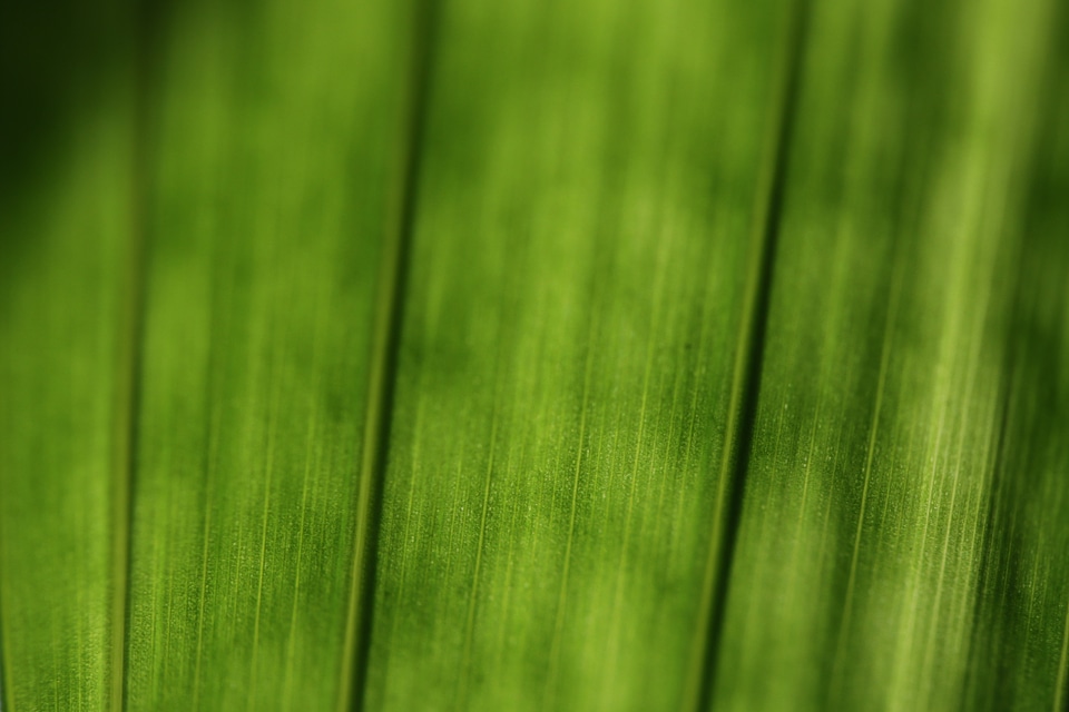 Macro structure structures