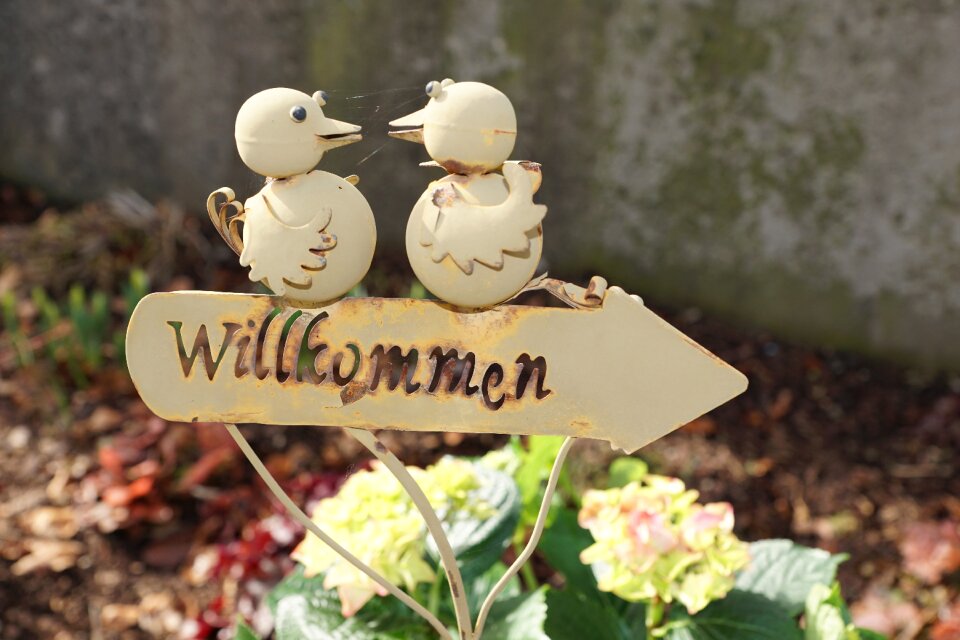 Welcome shield birds