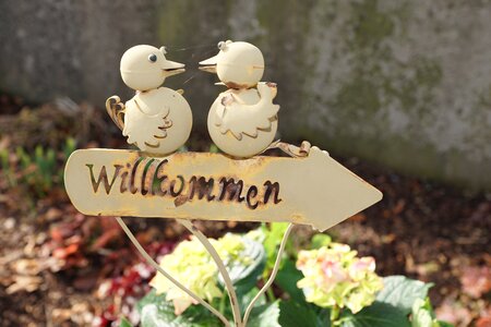 Welcome shield birds