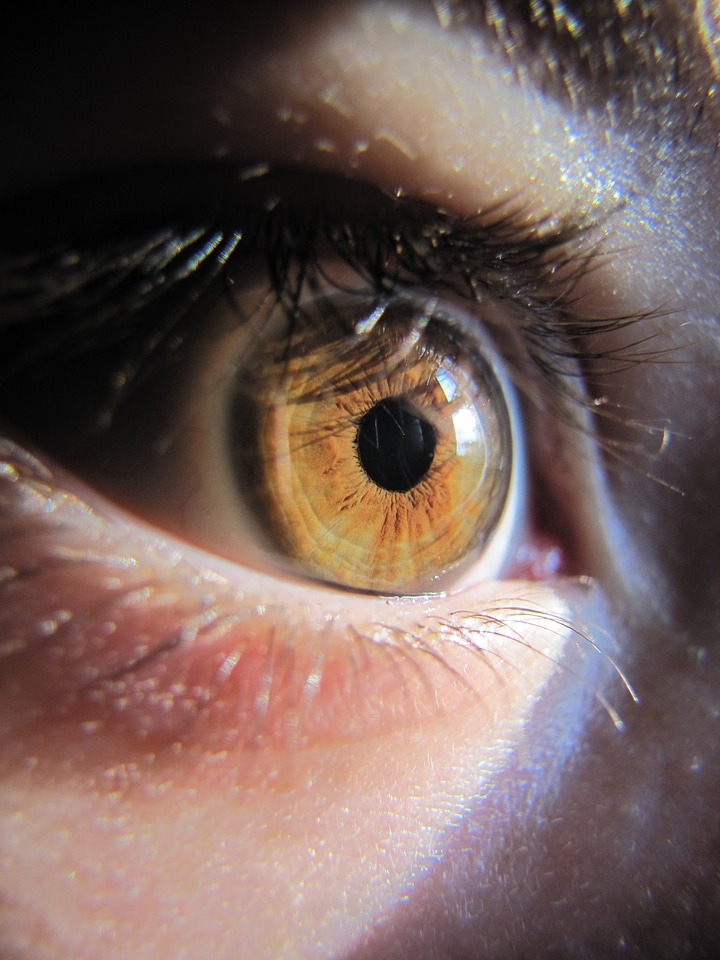 Iris watch eyelash