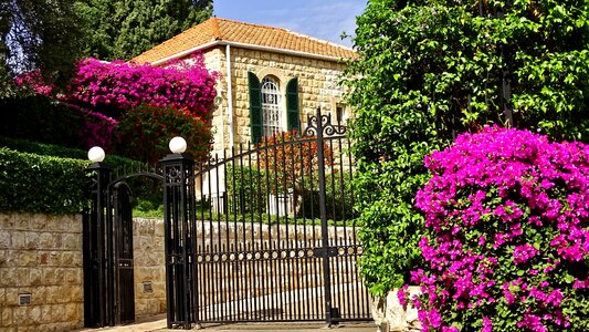Haifa building flowers photo