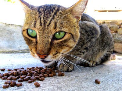 Mykonoskatze beautiful emerald eyes