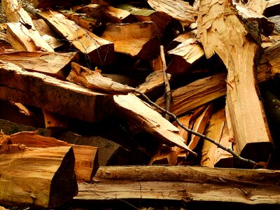 Log firewood growing stock