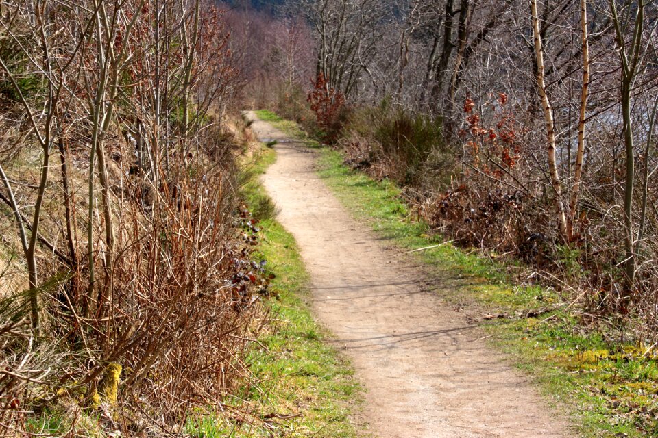 Landscape nature hiking