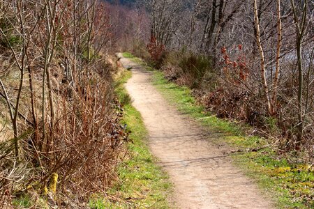 Landscape nature hiking photo