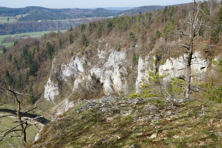 Forest river rock