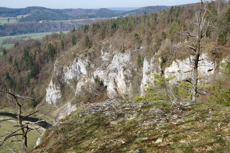 Forest river rock photo