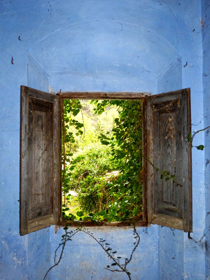 Ruin ivy house abandoned