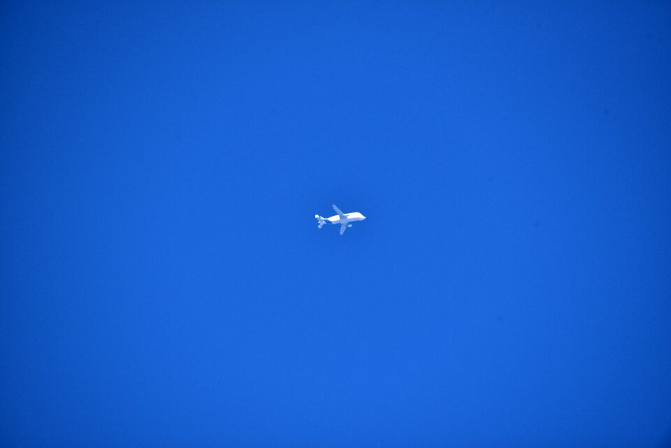Airbus white flying