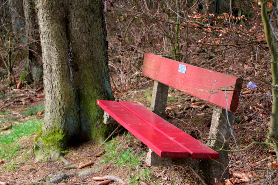 Silent break autumn