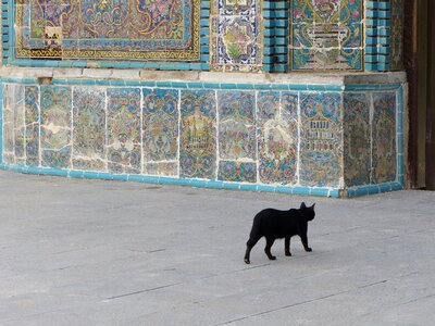 Black tile ceramic