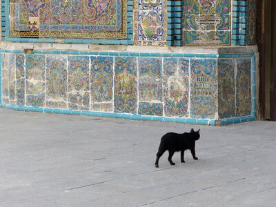 Black tile ceramic photo