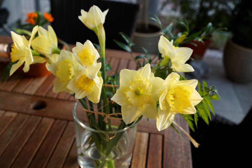 Spring fragrance aroma